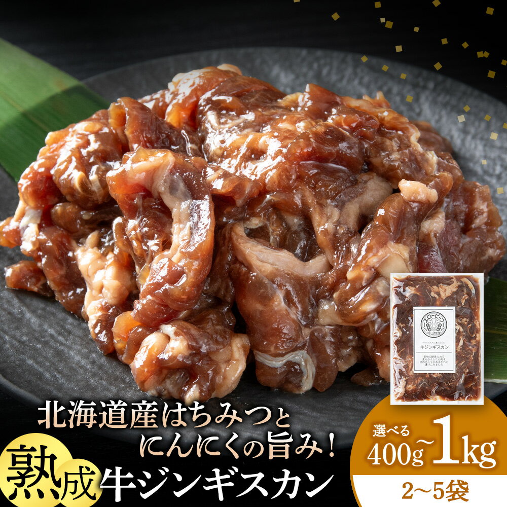 【ふるさと納税】牛ジンギスカン 選べる400g～1kg 1袋200g 〈杉山牧場〉ジンギスカン 味付き肉 焼肉 牛 牛肉 味付き はちみつ にんにく 熟成 ウェットエイジング 北海道ふるさと納税 ふるさと納税 北海道 浜頓別 通販 贈答品 贈り物