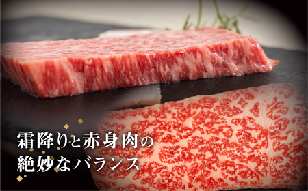 【ステーキ】飛騨牛 赤身ステーキ 3枚 (100g × 3枚 ) ステーキ