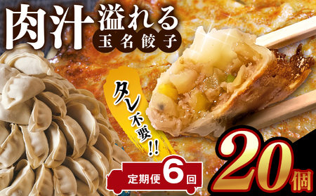 【定期便6回】タレ不要！！ 肉汁 溢れる『 玉名餃子 』 20個 | 餃子 ぎょうざ お手軽 小分け 冷凍 冷凍食品 おかず 豚肉