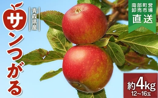 青森県産 りんご 「サンつがる」 約4kg（12～16玉） 【カネテ青果】 南部町営卸売市場 直送 青森りんご リンゴ 林檎 アップル あおもり 青森県 南部町 三戸 果物 くだもの フルーツ 3kg