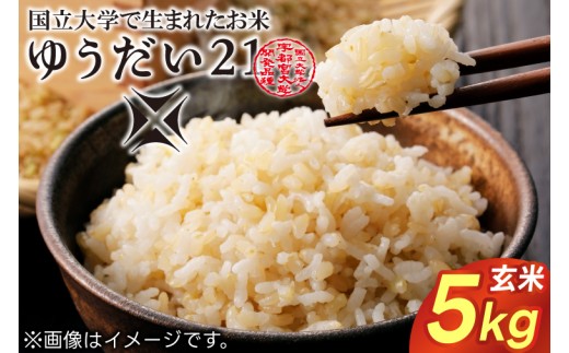 TVでも話題のお米 ゆうだい21 ＼令和8年産／【数量限定】あい　farm　やなぎのお米　令和8年産 ゆうだい21 玄米 5kg | 栃木県 益子町 ふるさと納税 お米 米 5kg 玄米 (DQ008)