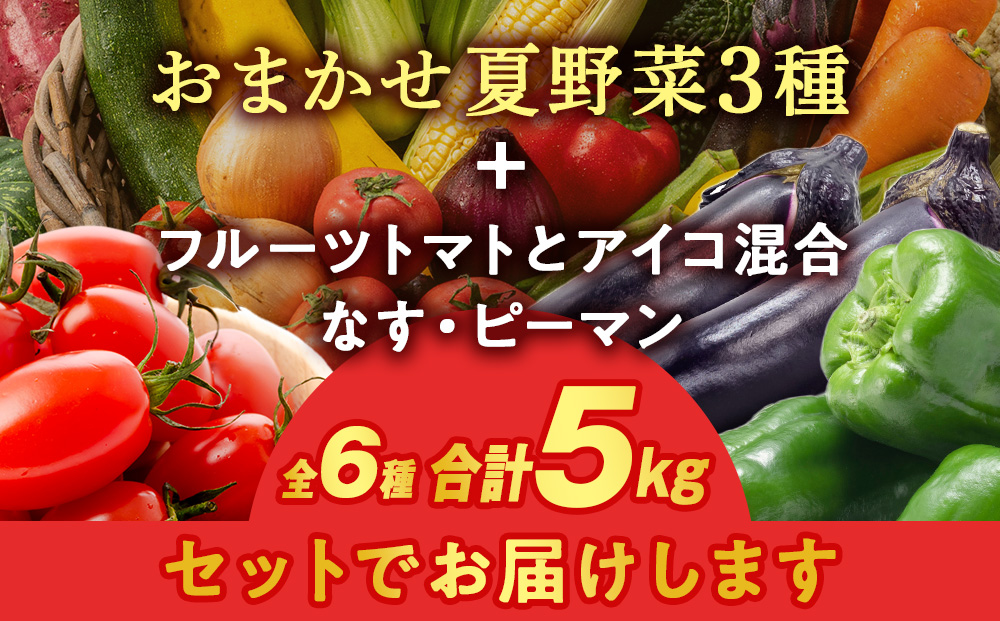 【2026年夏発送】秋山農園のおすすめ夏野菜セット5kg 5種 野菜詰め合わせ