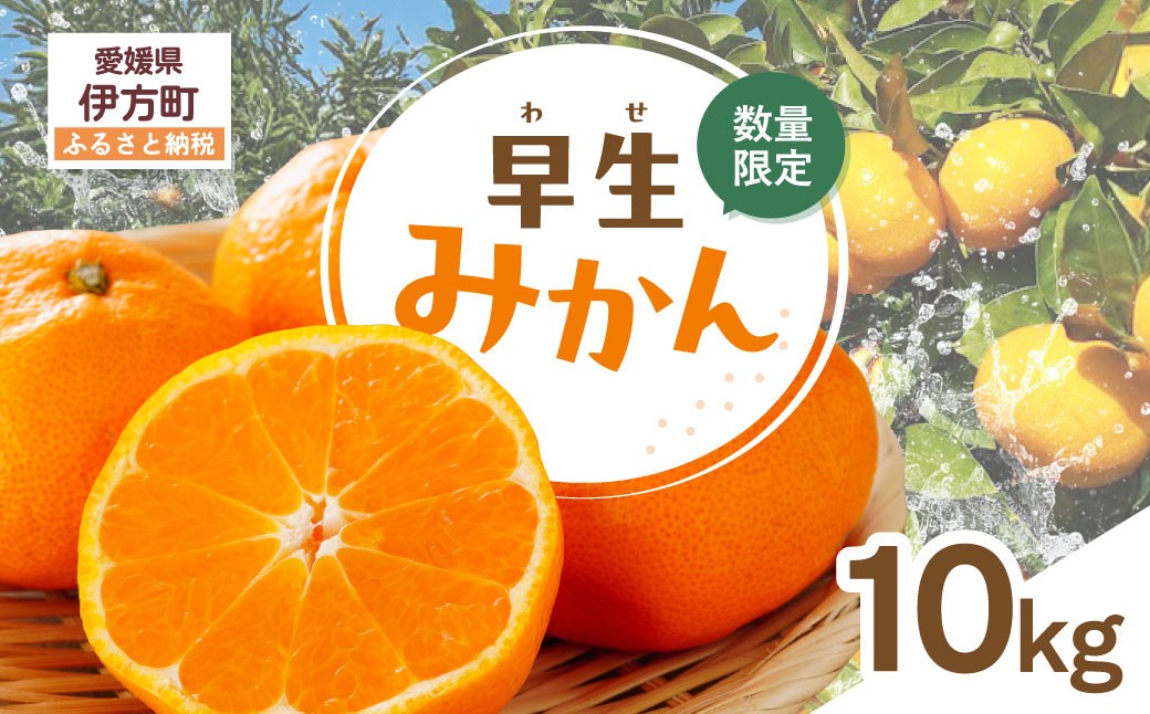 
                  【先行受付】【数量限定】早生みかん（生果）10kg（2026年11月上旬より順次発送）  【ふるさと納税 人気 おすすめ ランキング 柑橘 みかん ミカン 早生みかん 蜜柑 果物 生果 フルーツ Y.ONE農園 愛媛県産 愛媛県 伊方町 送料無料】 IKTQ002 
                