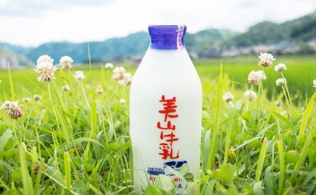 ヨーグルト 詰め合わせ 美山牛乳 ヨーグルト
