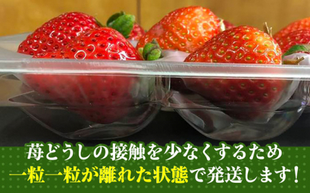 【2024年1月下旬より順次発送】農家直送 朝採り新鮮いちご【博多あまおう】約270g×4＜株式会社H&Futures＞ 那珂川市 いちご フルーツ くだもの 果物 あまおう 九州産 苺 国産  12