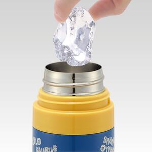 ダイレクトステンボトル　カバー付　ディノサウルス　ピクチャーブック　624544　11-101