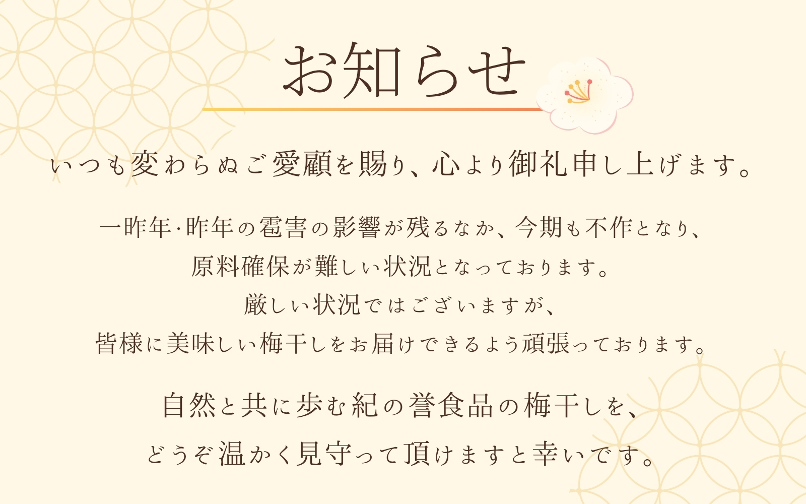 梅干し 食べ比べ 紀州南高梅干し 1㎏ (はちみつ500g・しそ漬500g) ご家庭用 【khs122】