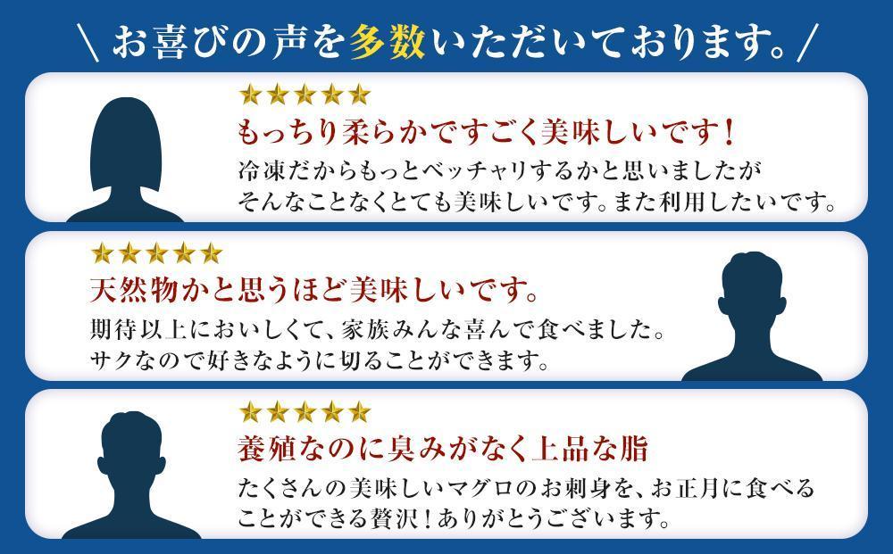 プレミア和歌山認証品 本マグロ（養殖）トロ＆赤身セット　1.35kg