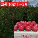 【ふるさと納税】1月～2月発送 最高等級「特選」大玉 葉とらず サンふじ 約5kg 糖度14度以上 【弘前市産・青森りんご】　果物類・林檎・りんご・リンゴ・サンふじ・フルーツ・最高等級・約5kg　お届け：2025年1月6日～2025年2月28日