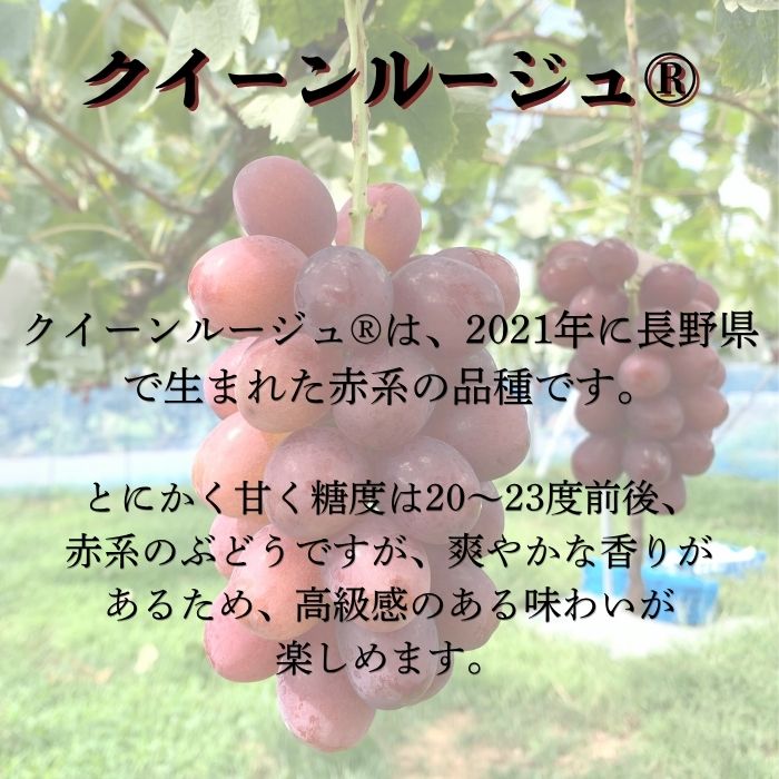 訳ありクイーンルージュ(R）2kg