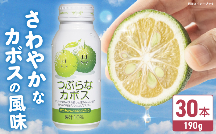 つぶらなカボス 190g×30本 かぼす 日田市 / 株式会社綾部商店 [ARDC013]