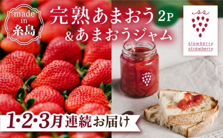 【先行受付】【全3回定期便】完熟 あまおう 270g × 2パック / あまおう ジャム 140g × 3本  【2026年1月より順次発送】 糸島市 / slowberry strawberry 苺 いちご [APJ005]