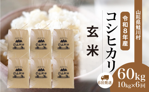 ＜令和8年産米＞ 令和9年1月中旬より発送  こしひかり【玄米】60kg定期便(10kg×6回） 山形県鮭川村