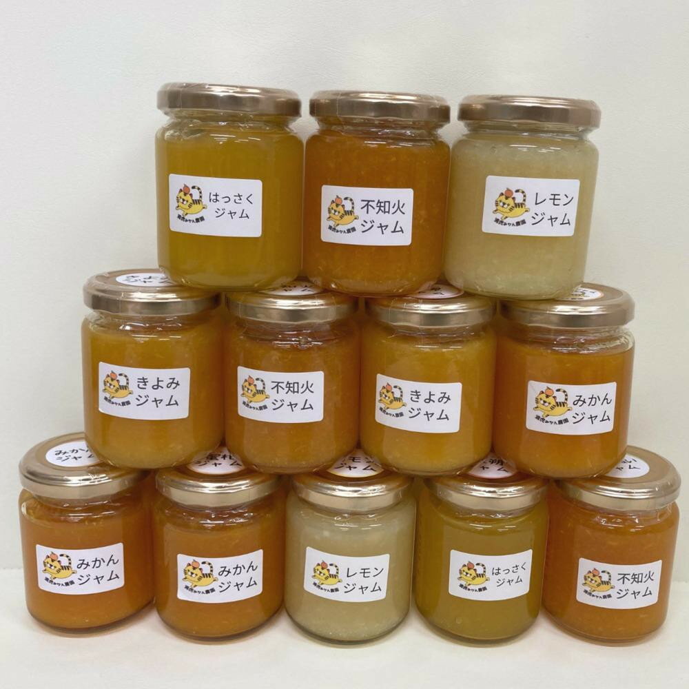 【ふるさと納税】数量限定！店主にお任せ 無添加 柑橘ジャム140g×3個 | 食品 加工食品 人気 おすすめ 送料無料 無添加 早期発送 柑橘 ジャム
