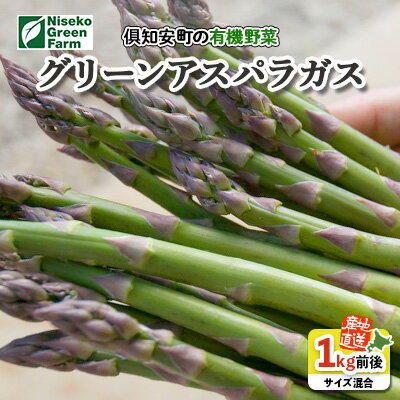 【ふるさと納税】北海道産 アスパラガス 有機 グリーンアスパラ 1kg前後 サイズ混合 オーガニック アスパラ 旬 朝採り 新鮮 お取り寄せ 産地直送 産直 野菜 農作物 送料無料 北海道 倶知安町 　お届け：2025年5月中旬～6月下旬まで