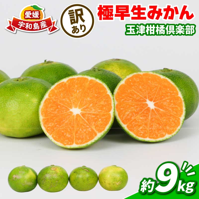 【ふるさと納税】 みかん 訳あり 極早生みかん 9kg 先行予約 玉津柑橘倶楽部 ミカン 温州みかん 温州 甘い 糖度 さっぱり 爽やか 果物 くだもの フルーツ 柑橘 蜜柑 愛媛蜜柑 愛媛みかん わけあり 訳あり品 サイズ 不揃い 産地直送 数量限定 国産 愛媛 宇和島 B010-072029