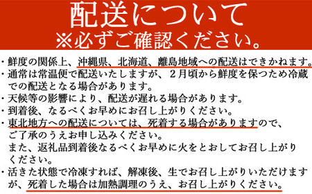 【先行予約】【捌き方レシピ・軍手付き】活きイセエビ産地直送！！1ｋｇ以上（1～3尾、2～3人前） _he018