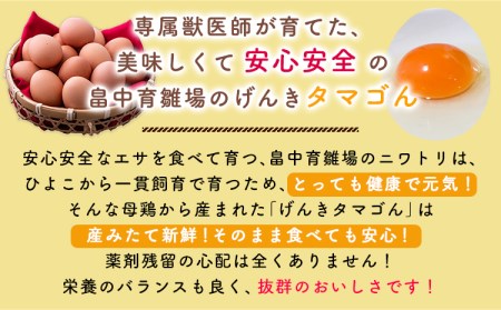 畠中育雛場のげんきタマゴん 80個 《30日以内に出荷予定(土日祝除く)》福岡県 鞍手郡 小竹町 卵 送料無料 有限会社畠中育雛場