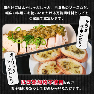 大阪ねぎガーリック ねぎ塩だれ 1個 定期便2回 難波ねぎ タレ ごはんのお供 調味料 大阪府 松原市