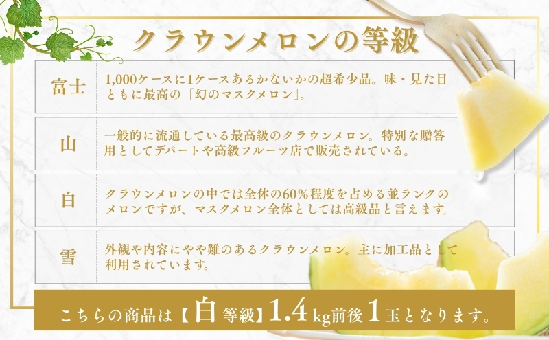 クラウンメロン【並（白等級）】大玉（1.4kg前後）1玉入り