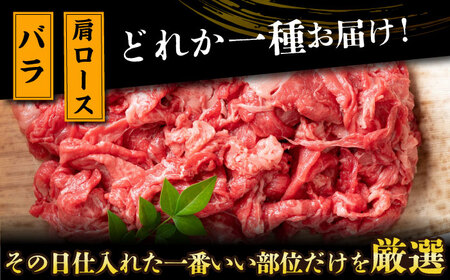 【全12回定期便】【訳あり】【A4～A5】長崎和牛焼肉切り落とし(肩ロース・バラ）　1kg（500g×2p）【株式会社 MEAT PLUS】[DBS048]