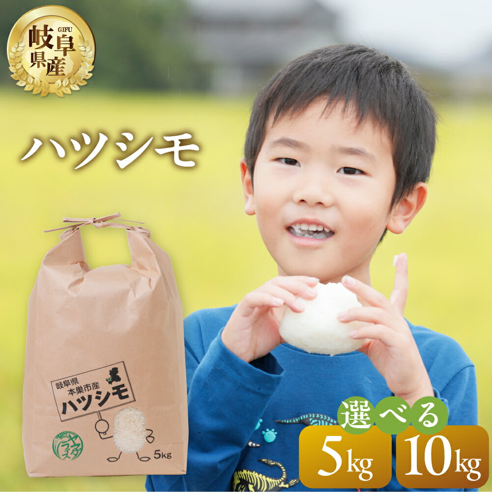 【ふるさと納税】令和7年産 新米 ハツシモ 5kg 10kg 選べる 2025年 11月～ 発送 米 こめ ごはん 白米 岐阜県産 本巣市 お米 精米 おにぎり 弁当 さっぱり 旨味 甘い 和食 寿司 岐阜県産 ヤマダライス [mt1092] 14000円 28000円