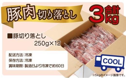 《2026年6月発送》豚肉切り落とし 250g×12パック 合計3kg_K033-024-2606