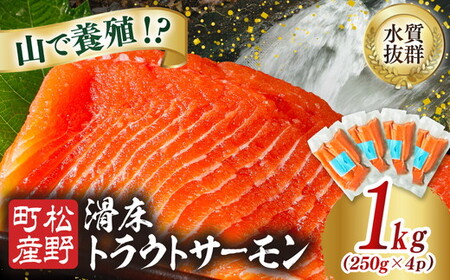 【森の国で養殖】滑床トラウトサーモン 1kg（250g×4P） ｜ 刺身 小分け 切り身 ふるさと納税 国産 冷凍 ※離島への配送不可