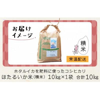 ふるさと納税 滑川市 【ほたるいか米】精米　10kg |  | 03
