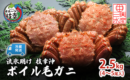 〈冷蔵発送〉流氷明け 枝幸沖 ボイル毛ガニ 2.5kg (4～5尾入) 先行予約【2027年3月頃発送予定】旬の味覚［丸中三興水産］オホーツク枝幸 前浜【 蟹 魚介 北海道 枝幸 】