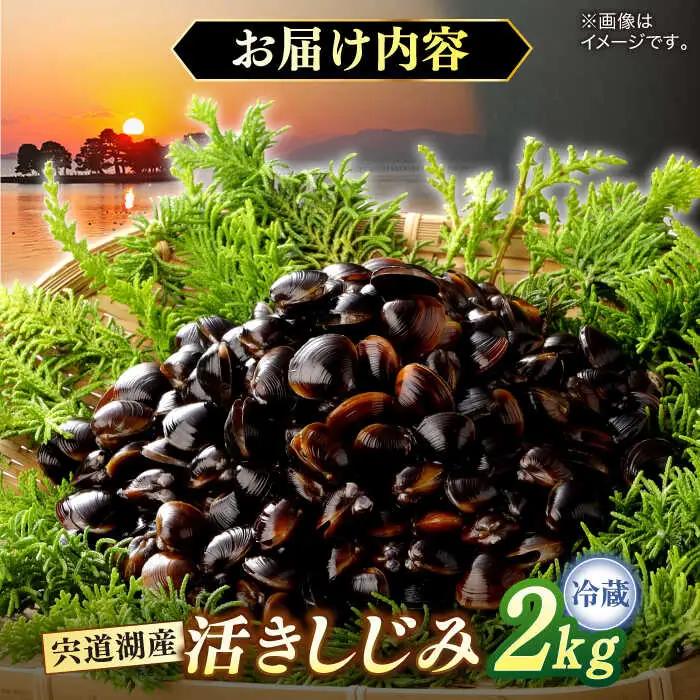 しじみ しじみ 砂抜き不要！ 活ヤマトシジミ 生しじみ 2kg 島根県松江市/株式会社漁師村[ALDN003] しじみ しじみ