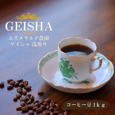 ふるさと納税 豊川市 コーヒー豆 ゲイシャ エスメラルダ農園 ウォッシュド 浅煎り 1kg (豆のまま)