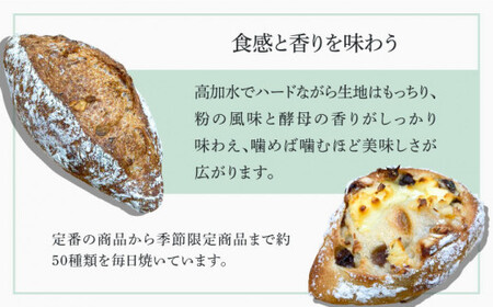おまかせパン 8-10個 リベイクセット＜pain du jour＞那珂川市  11000 11000円 [GCZ001]