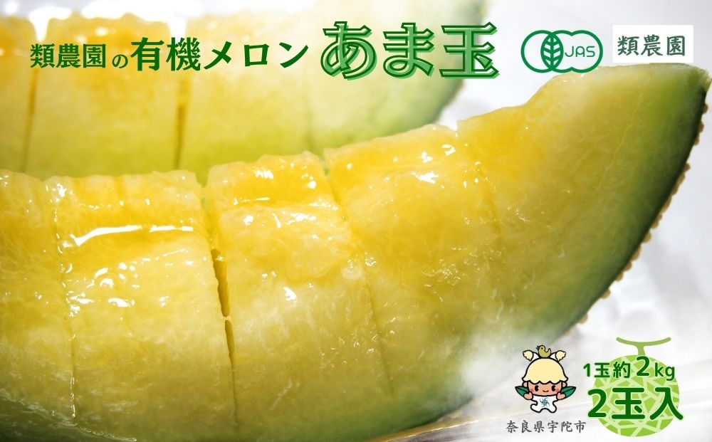 ＼予約販売／【7月下旬?8月上旬出荷】有機メロン「甘玉」2玉 ／ ふるさと納税 メロン 有機 甘玉 贈答 ギフト お盆 お供え デザート おいしい 奈良県 宇陀市 類農園