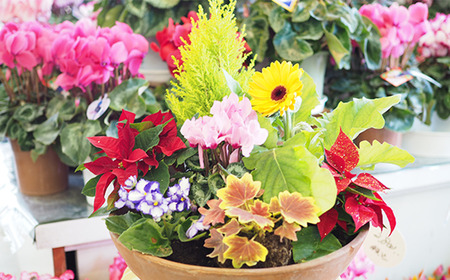 【全6回定期便】1年中季節のお花が楽しめる！旬のお花盛り合わせ（2か月に1回お届け）　【11100-0735】