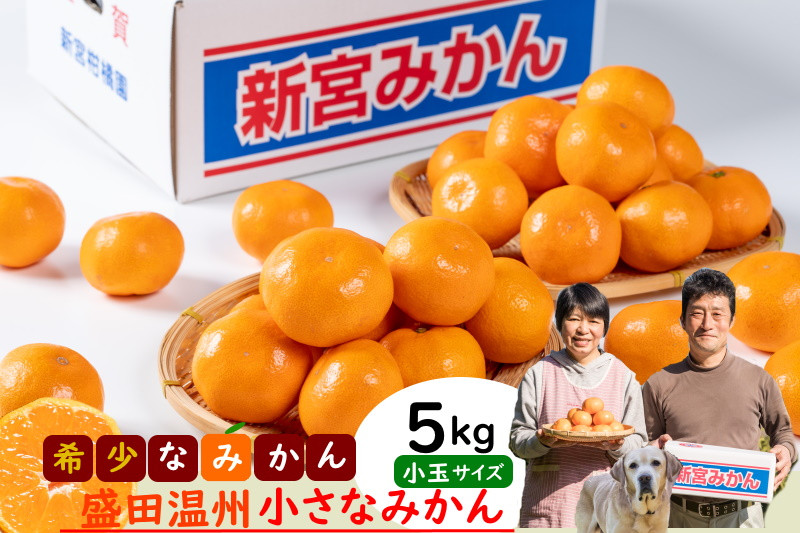 
            L-141　新宮みかん園　希少なみかん盛田温州の小さなみかん ５ｋｇ　みかんミカン蜜柑温州みかんふるさと納税有明海柑橘甘い果物フルーツ盛田温州小さな新宮みかん園佐賀県太良町L141［L141］
          