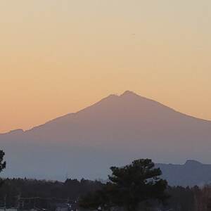 茨城県産こしひかりミックス 白米5kg 令和7年産【配送不可地域：離島・沖縄県】【1700053】