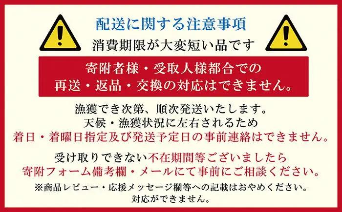 ＼2027年発送・先行予約／北海道 江差前浜産 生うに たっぷり 1kg（100g×10パック）【無添加・みょうばん不使用】令和9年　江差産天然キタムラサキウニ　日本海熊石産海洋深層水　塩水ウニ　素材