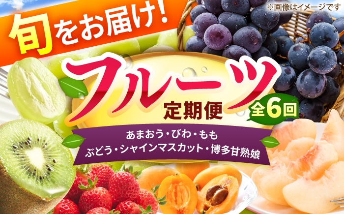 
                  【6回定期便】フルーツ定期便（あまおう/びわ/桃/ぶどう/シャインマスカット/キウイ） 広川町 / JAふくおか八女農産物直売所どろや [AFAB119]
                