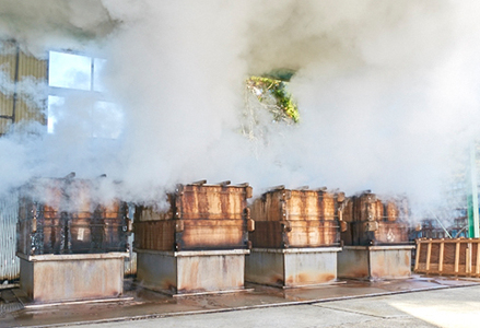 【令和８年収穫 先行予約】新物！房州さいぶのひじき（大）65g×５袋　[0020-0049]