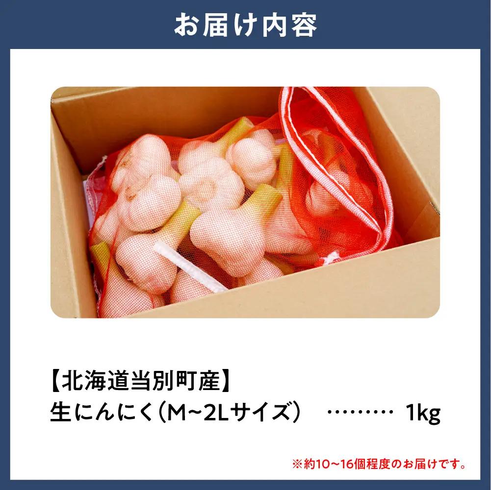【令和9年度産先行受付】生にんにく（福地ホワイト六片種）1kg にんにく