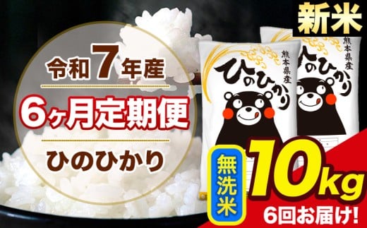 新米 令和7年産 【6ヶ月定期便】 ひのひかり 無洗米 10kg 5kg×2袋 計6回お届け 熊本県産 こめ コメ 無洗米 精米 荒尾市 ひの 米 定期 《お申込み翌月から出荷》