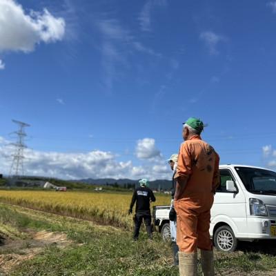 ふるさと納税 南陽市 【令和7年産】 山形県産【はえぬき】精米 20kg(20kg×1袋)【S2565】 |  | 02