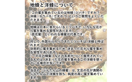 爽やかな香り広がる100%天然蜂蜜 ぶんたん山の蜂蜜　360g 3本