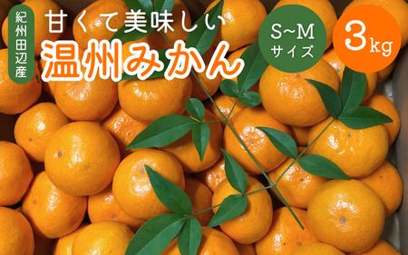 先行予約 紀州田辺産 甘くて美味しい温州みかん3kg（Ｓ～Ｍサイズ） ※11月中旬～12月下旬頃に順次発送予定【期間限定・10/31まで】 / 和歌山県 ミカン 柑橘  フルーツ 果物 紀州産 早生【kjt010-1】