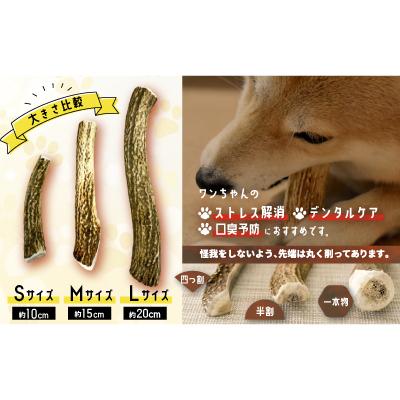 ふるさと納税 浦河町 犬用「鹿の角」Sサイズ×2本[53-1595] |  | 01