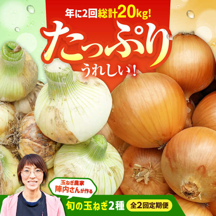 【ふるさと納税】 【2回定期便】 農家直送 玉ねぎ定期便 10kg/回 【玉葱農家 陣内ちひろ】玉葱 たまねぎ 新玉ねぎ タマネギ 佐賀県 白石町 [IAO027]