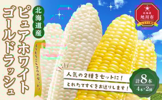 【先行受付】人気のとうもろこしコラボセット!　ピュアホワイト4本×ゴールドラッシュ4本（2025年8月下旬より発送予定）【 白いとうもろこし 人気 北海道産 糖度 生 野菜 スイートコーン 産地直送 バーベキュー BBQ コーン 旬 お取り寄せ 旭川市 北海道 送料無料 】_04561
