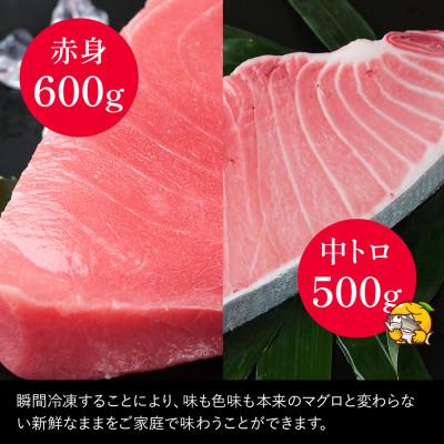 ふるさと納税 津久見市 【本まぐろ】中トロ 約500g・赤身　約600gセット |  | 03