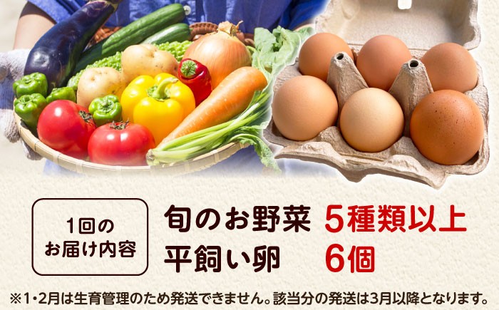 朝のTVで紹介 旬の野菜セット 新鮮野菜 産地直送 卵 たまご 平飼い卵 やさいセット 家庭用